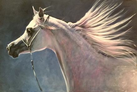 Horse Paintings for Sale